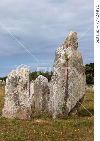 Menhirs of the Alignments of Kermario Menhirs of the Alignments of Kermario 77724931