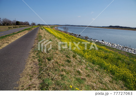 利根川の風景 利根川の風景 77727063