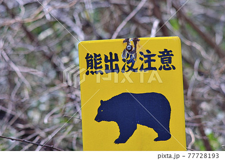 熊注意 熊注意 77728193