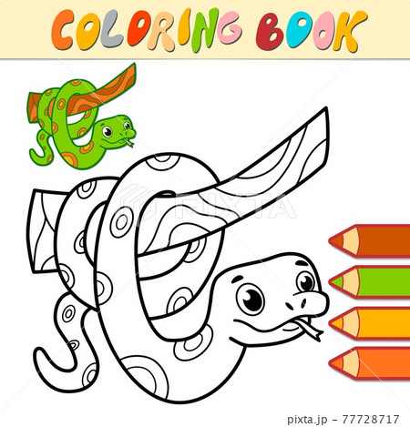 Coloring book or page for kids. snake black and white  77728717