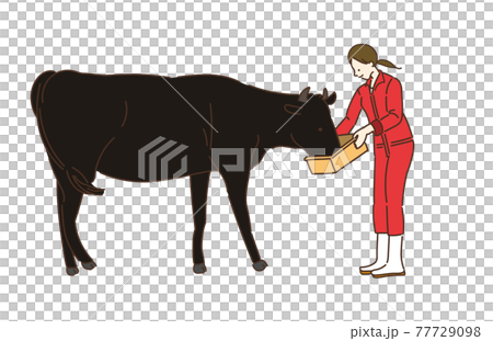 農業女子　酪農女子　酪農　女性　イラスト　牛乳 77729098
