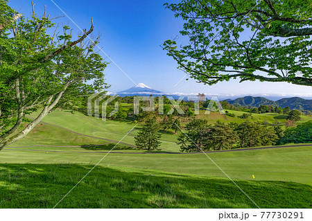 富士山の見えるゴルフ場 77730291