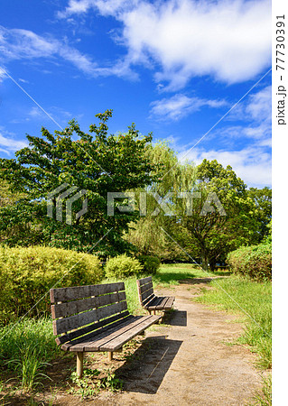 真夏の公園のベンチと快晴の空 77730391