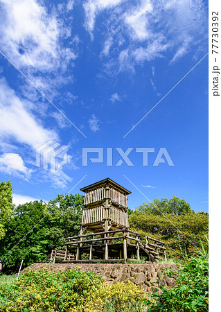 真夏の公園と快晴の空 77730392