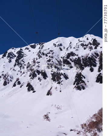 残雪の立山黒部アルペンルート タンボ平から立山ロープウェイを望む 残雪の立山黒部アルペンルート タンボ平から立山ロープウェイを望む 77730701