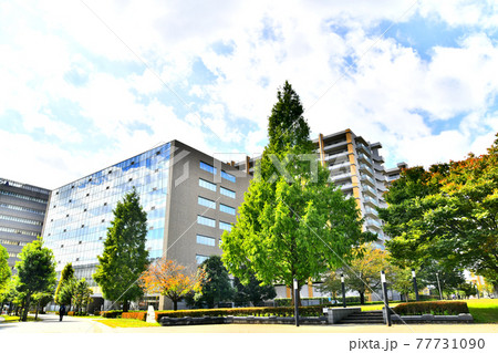 緑町北公園周辺(東京都立川市)【2020.10】 77731090