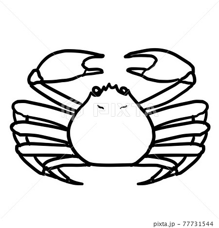 Realistic Crab Line Drawing Stock Illustration