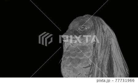 アマビエ 鉛筆タッチ アマビエ 鉛筆タッチ 77731966