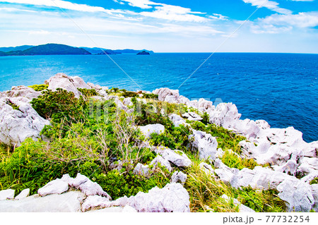和歌山県日高郡由良町にある白い石灰岩の海岸と青い海が見れる日本のエーゲ海こと白崎海洋公園の風景 77732254