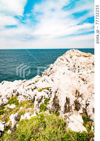 和歌山県日高郡由良町にある白い石灰岩の海岸と青い海が見れる日本のエーゲ海こと白崎海洋公園の風景 77732255