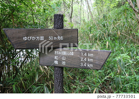 小野アルプス（兵庫県で撮影） 77733501