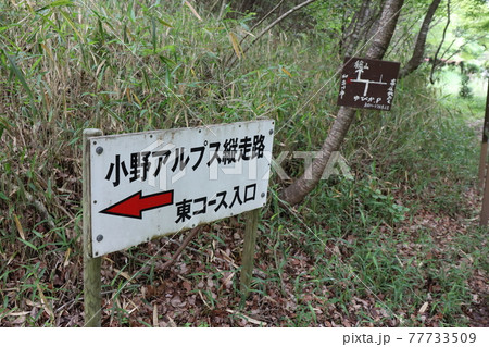 小野アルプス（兵庫県で撮影） 77733509