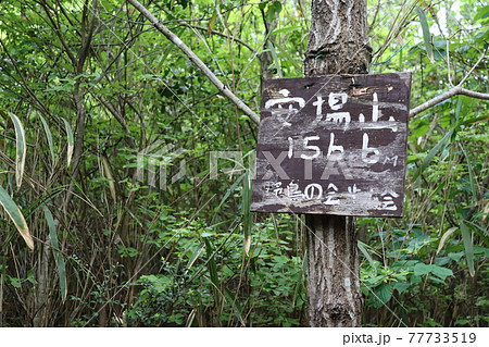 小野アルプス（兵庫県で撮影） 77733519