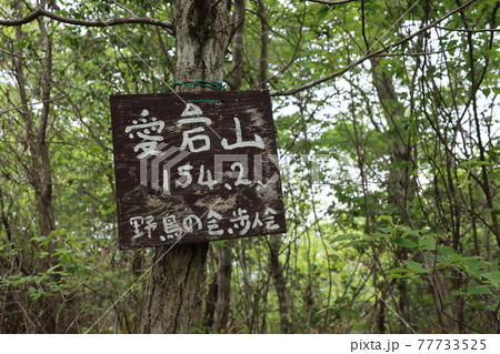 小野アルプス（兵庫県で撮影） 77733525