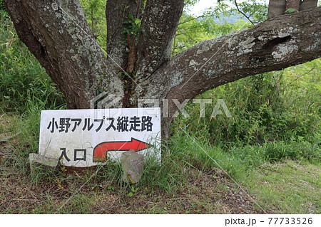 小野アルプス（兵庫県で撮影） 77733526