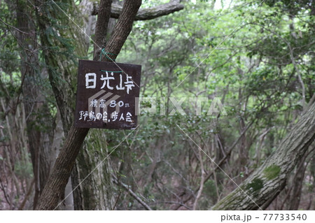 小野アルプス（兵庫県で撮影） 77733540