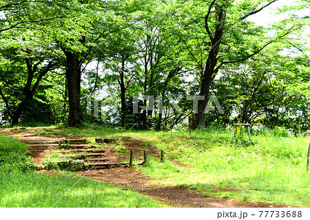 弘法山公園  ハイキング 77733688
