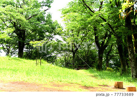 弘法山公園 ハイキング 弘法山公園 ハイキング 77733689