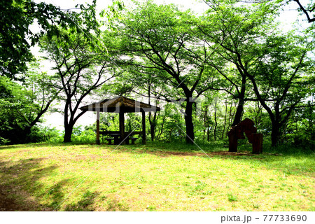 弘法山公園  ハイキング 77733690