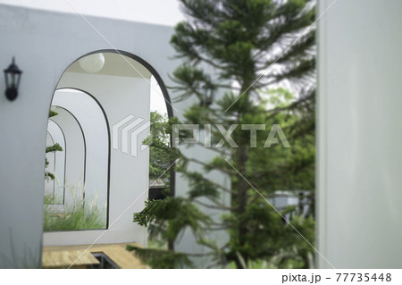 Summer green relaxation of outdoor garden Summer green relaxation of outdoor garden 77735448