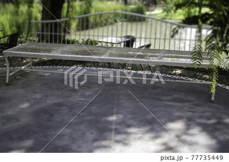 Summer green relaxation of outdoor garden Summer green relaxation of outdoor garden 77735449