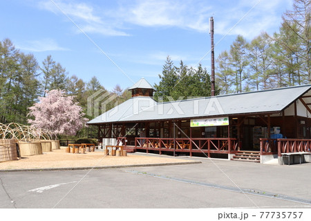 上野村・まほーばの森 77735757