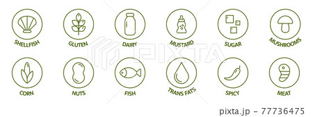 Allergen line icon set. Soybean nut celery, corn, milk, honey spicy, sugar alcohol, gluten mustard, gmo sesame, lactose fish, egg mollusk free. Allergy warning ingredients. Vector illustration 77736475