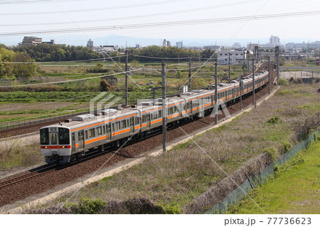 東海道線を走る311系電車 77736623