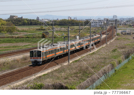東海道線を走る311系電車 東海道線を走る311系電車 77736667