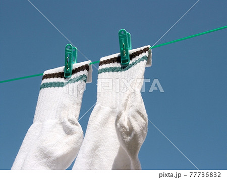 Socks Socks 77736832
