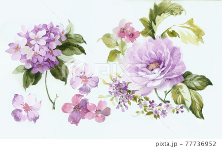 透明水彩 水彩画 花 77736952