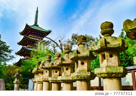 東京都台東区にある旧寛永寺の五重塔の風景 東京都台東区にある旧寛永寺の五重塔の風景 77737311