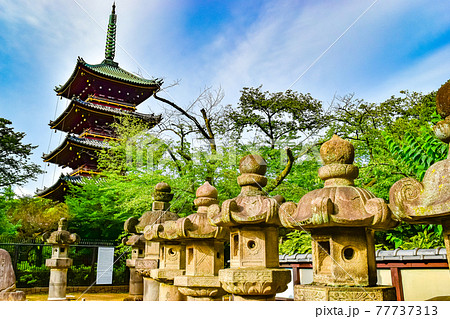 東京都台東区にある旧寛永寺の五重塔の風景 東京都台東区にある旧寛永寺の五重塔の風景 77737313