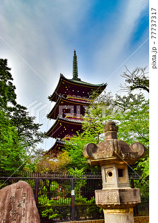 東京都台東区にある旧寛永寺の五重塔の風景 東京都台東区にある旧寛永寺の五重塔の風景 77737317
