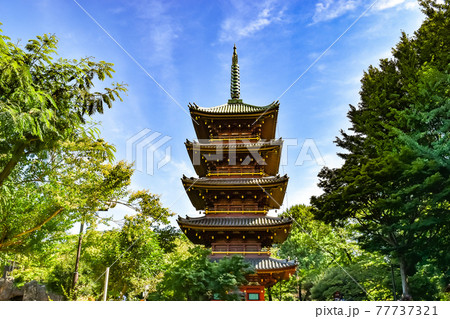 東京都台東区にある旧寛永寺の五重塔の風景 77737321