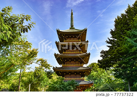 東京都台東区にある旧寛永寺の五重塔の風景 東京都台東区にある旧寛永寺の五重塔の風景 77737322
