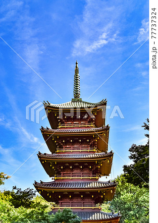東京都台東区にある旧寛永寺の五重塔の風景 77737324