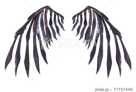 Devil wing plumage isolated on white background with clipping path Devil wing plumage isolated on white background with clipping path 77737440
