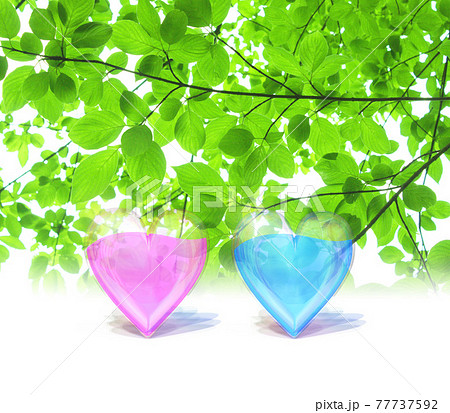 真心のツイン・ハートマーク 77737592