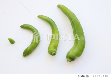 Four very hot spicy green peppers are broadcast on Wifi 77739330