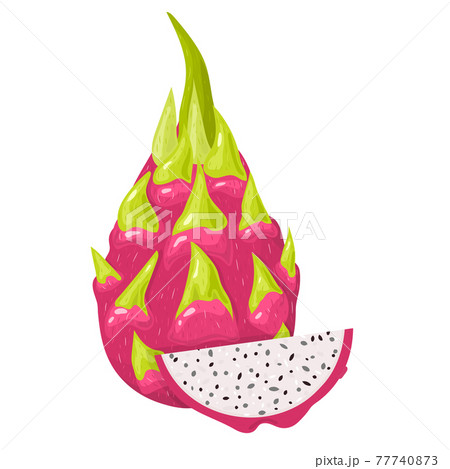 Fresh whole and cut slice red pitaya fruits isolated on white background. Summer fruits for healthy lifestyle. Organic fruit. Cartoon style. Vector illustration for any design. Fresh whole and cut slice red pitaya fruits isolated on white background. Summer fruits for healthy lifestyle. Organic fruit. Cartoon style. Vector illustration for any design. 77740873