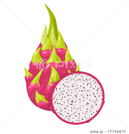 Fresh whole and half red pitaya fruits isolated on white background. Summer fruits for healthy lifestyle. Organic fruit. Cartoon style. Vector illustration for any design. 77740875