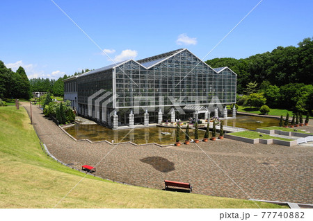 4月　相模原230サカタのタネグリーンハウス(温室)･県立相模原公園 77740882