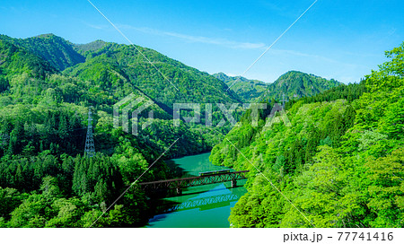 新緑の只見線第三橋梁　福島県三島町　絶景撮影スポット　撮り鉄 77741416