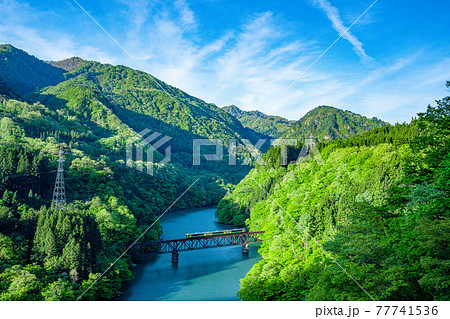 新緑の只見線第三橋梁　福島県三島町　撮り鉄　絶景撮影スポット 77741536