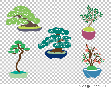 Bonsai cute illustration set Bonsai cute illustration set 77743519