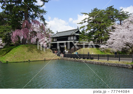 桜の名所　弘前公園追手門 77744084
