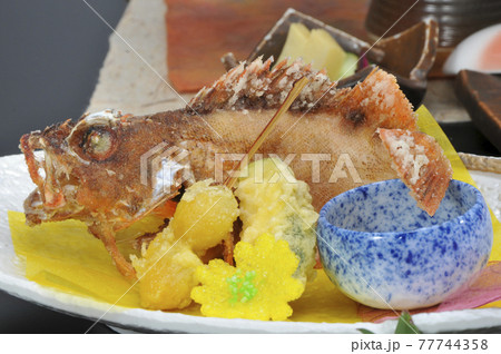 一品料理　和食　懐石　会席　盛付 77744358