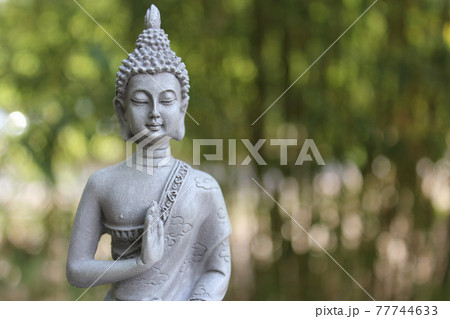 Buddha Statue in Outdoor Garden With Blurred Background Buddha Statue in Outdoor Garden With Blurred Background 77744633