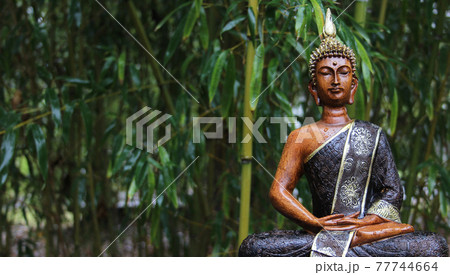 Buddha Statue in rain with bamboo background Buddha Statue in rain with bamboo background 77744664